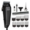 WAHL 300_1